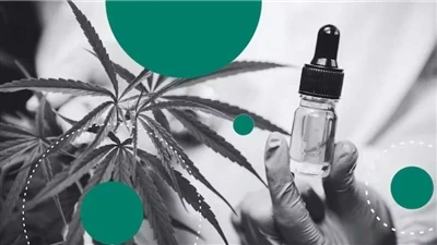 Hemp Vs CBD: What's The Difference?