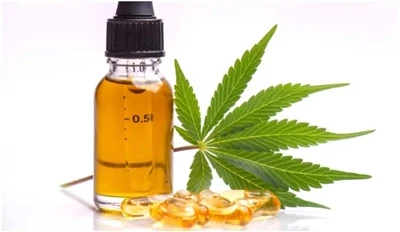 What Is The Difference Between Hemp-seed Oil, CBD And Hemp Extract?