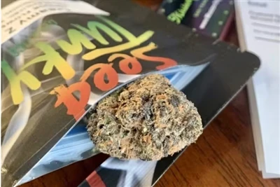 Hemp Vs CBD: What's The Difference?