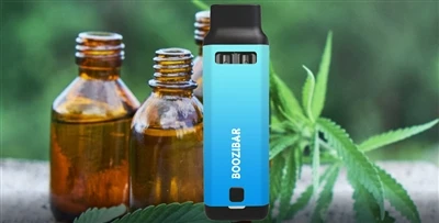Hemp-CBD Firm Charlotte’s Web Replaces CEO After Shareholder Group’s Revolt